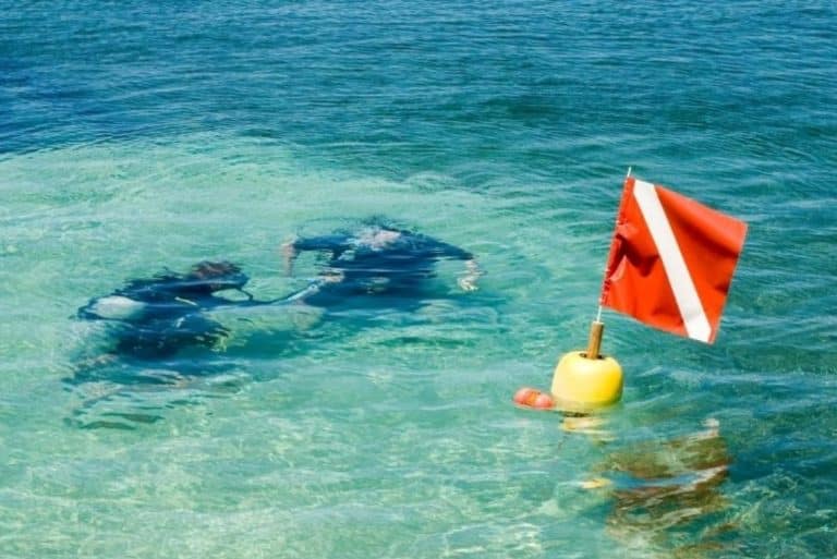Lee más sobre el artículo Banderas y flotadores de buceo: lo esencial que debes saber
