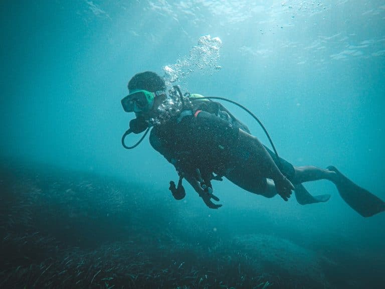 Lee más sobre el artículo Equipamiento de buceo: lo que necesitas para explorar el mundo subacuático
